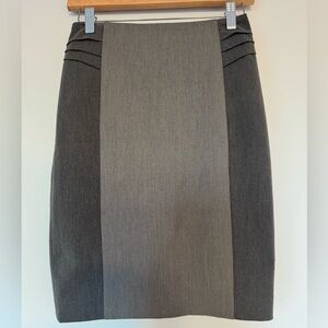 Express Pencil Skirt